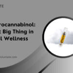 Hexahydrocannabinol The Next Big Thing in Natural Wellness